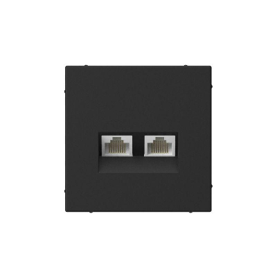 Розетка компьютерная 2-м ArtGallery RJ45 + RJ45 кат.5E механизм карбон SE GAL001085